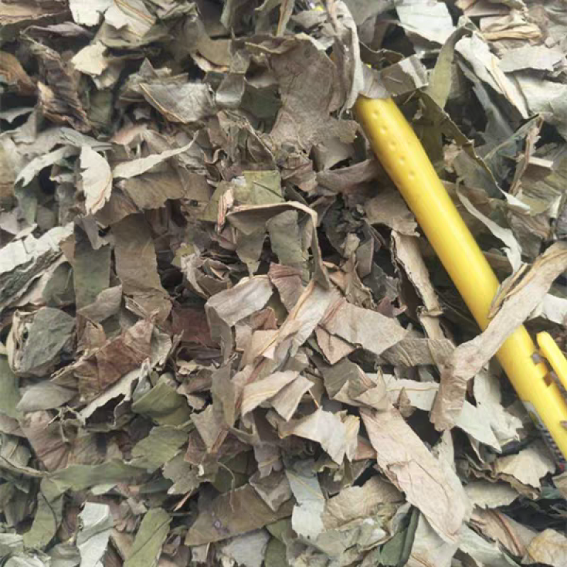 荷叶新货无硫荷叶块荷叶丝批发各种规格保证质量
