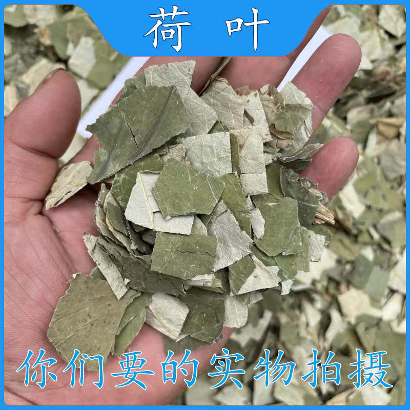 荷叶新货无硫荷叶块荷叶丝批发各种规格保证质量