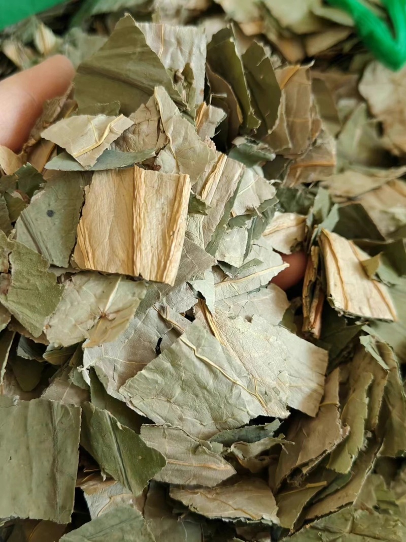荷叶新货无硫荷叶块荷叶丝批发各种规格保证质量