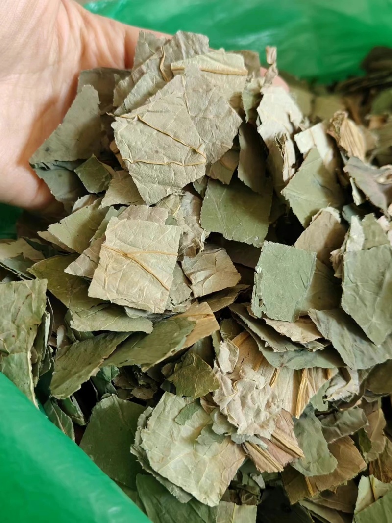 荷叶新货无硫荷叶块荷叶丝批发各种规格保证质量