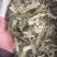 荷叶新货无硫荷叶块荷叶丝批发各种规格保证质量