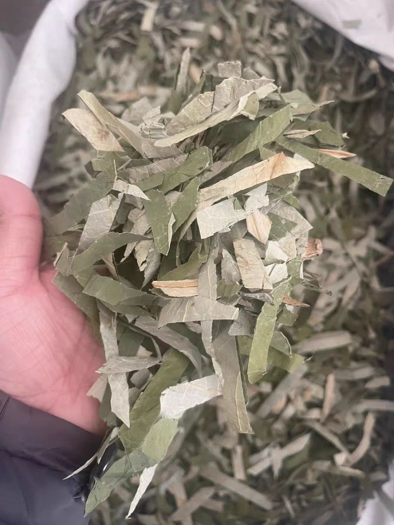 荷叶新货无硫荷叶块荷叶丝批发各种规格保证质量