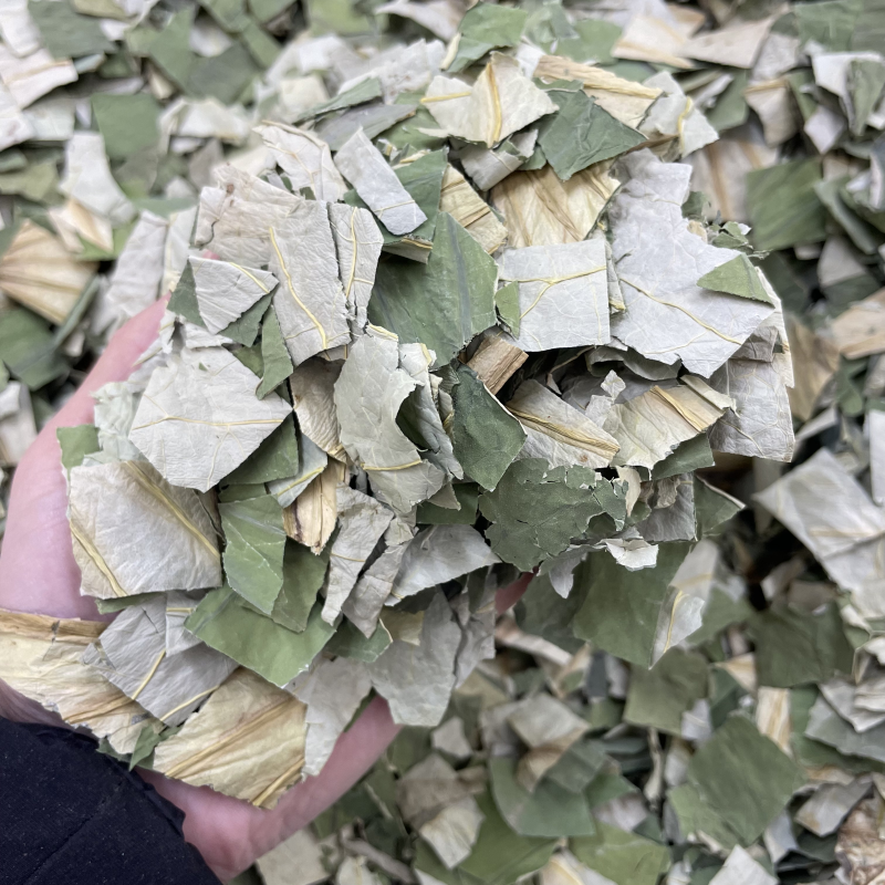 荷叶新货无硫荷叶块荷叶丝批发各种规格保证质量