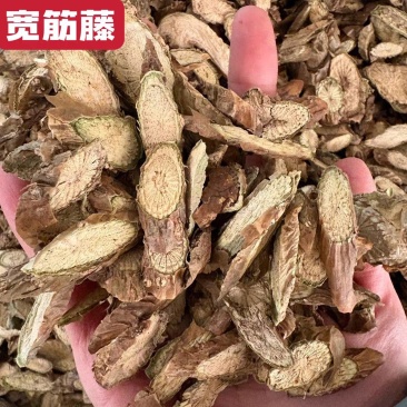 宽筋藤无硫新货宽筋藤切段中药材伸筋藤松筋藤春根藤