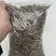 原味葵瓜子，新货支持一件代发，全国发货，内霉少！颗粒大
