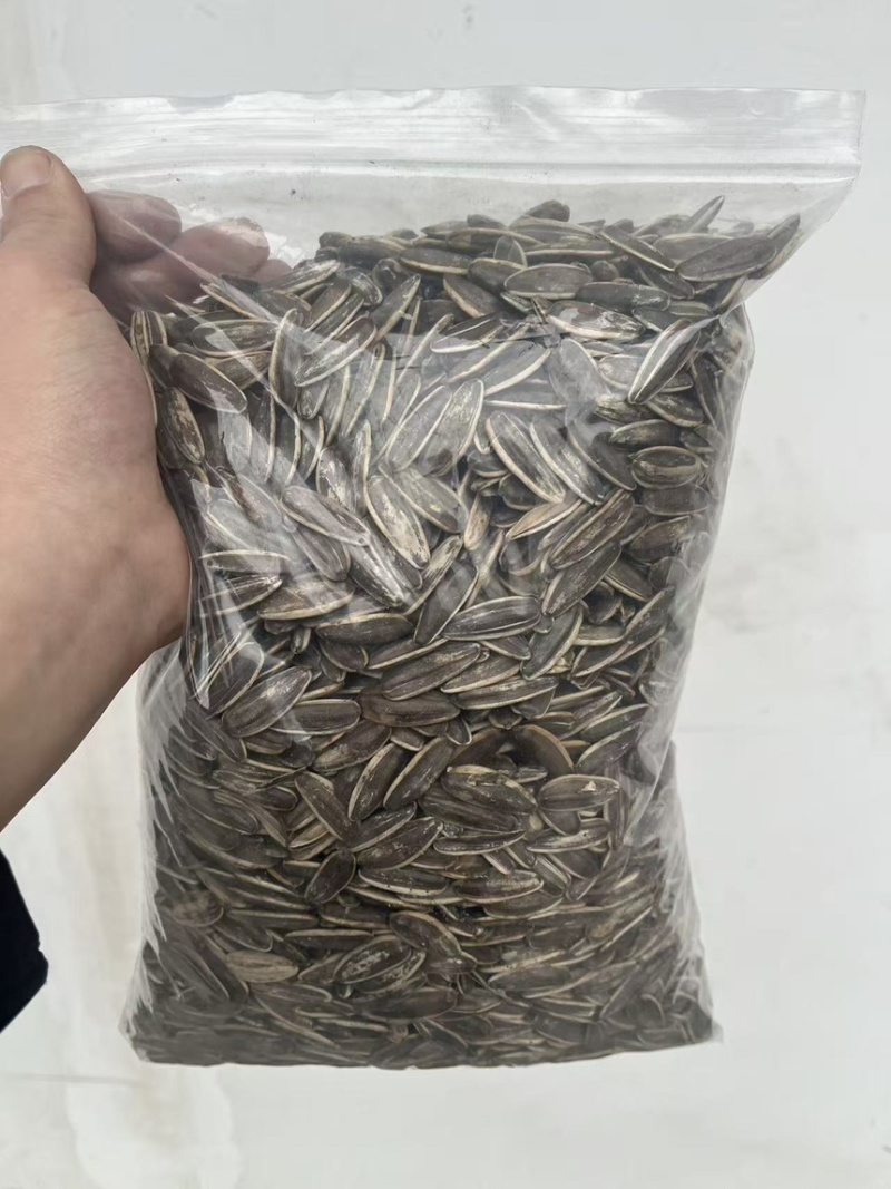 原味葵瓜子，新货支持一件代发，全国发货，内霉少！颗粒大