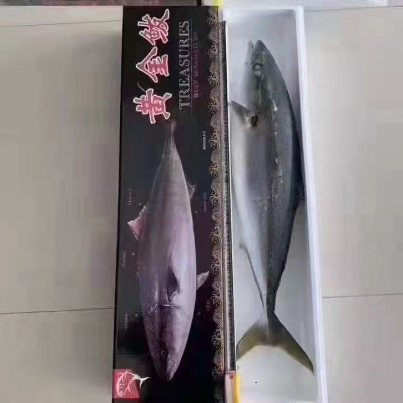 渤海湾黄金鲅鱼，马姣鱼，深海鱼。肉质饱满。