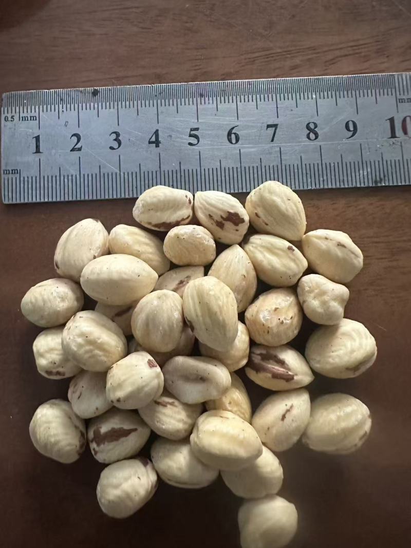 国产脱衣榛子仁整颗12.5kg一件全国发货
