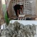 邯郸精品蘑菇鲜平菇基地直发全国发货