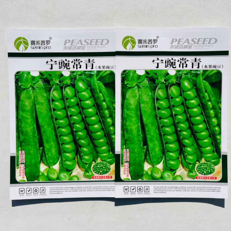 水果豌豆种子圆形青颗粒饱满甜面好吃春秋播种豌豆种子抗病