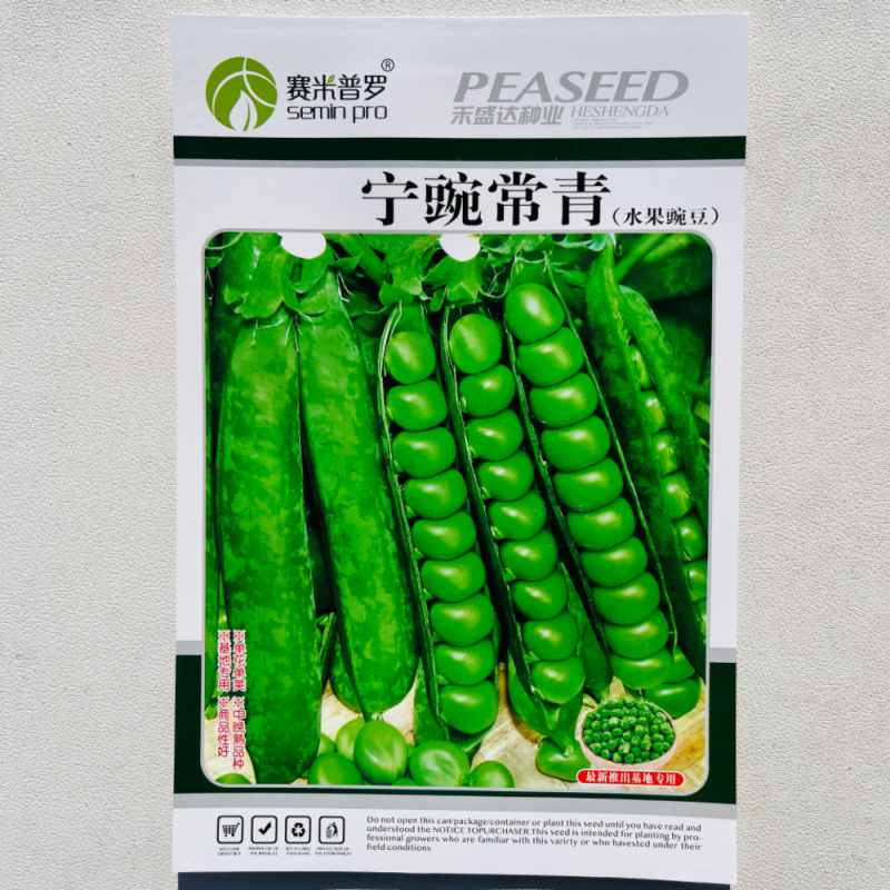水果豌豆种子圆形青颗粒饱满甜面好吃春秋播种豌豆种子抗病