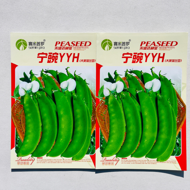 水果豌豆种子圆形青颗粒饱满甜面好吃春秋播种豌豆种子抗病