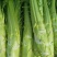 棒菜