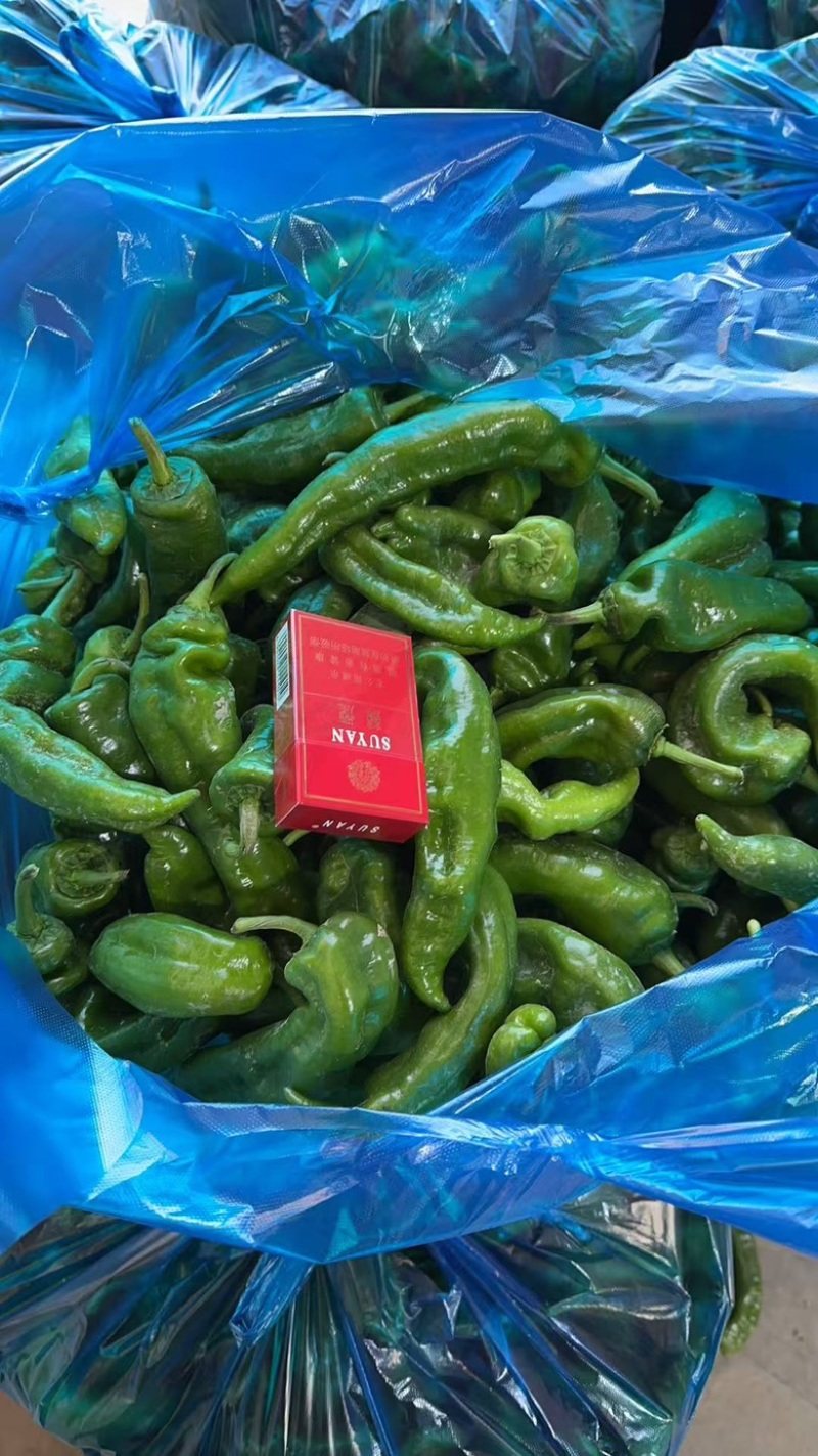 产手一手货源，匠心手选，供应青椒