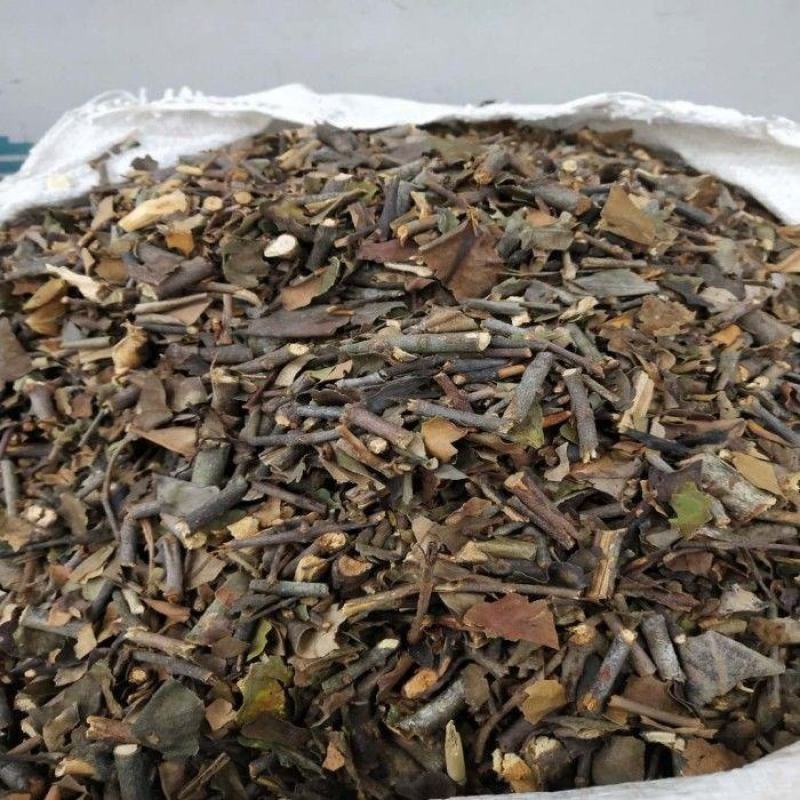 中草药材桑寄生切段泡酒泡茶泡水煲汤各种规格批发零售