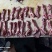 谷饲腹肉条，烧烤用品质量保证，寻找长期合作伙伴
