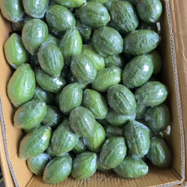 青柠檬（广东香柠）