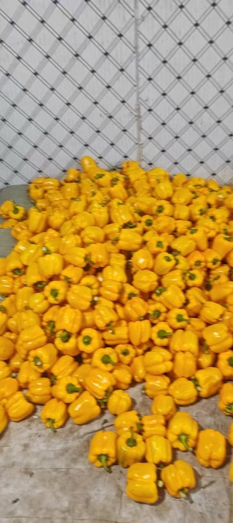 ，对接商超，出口，市场，社区团购，食品厂，加工厂，货源稳