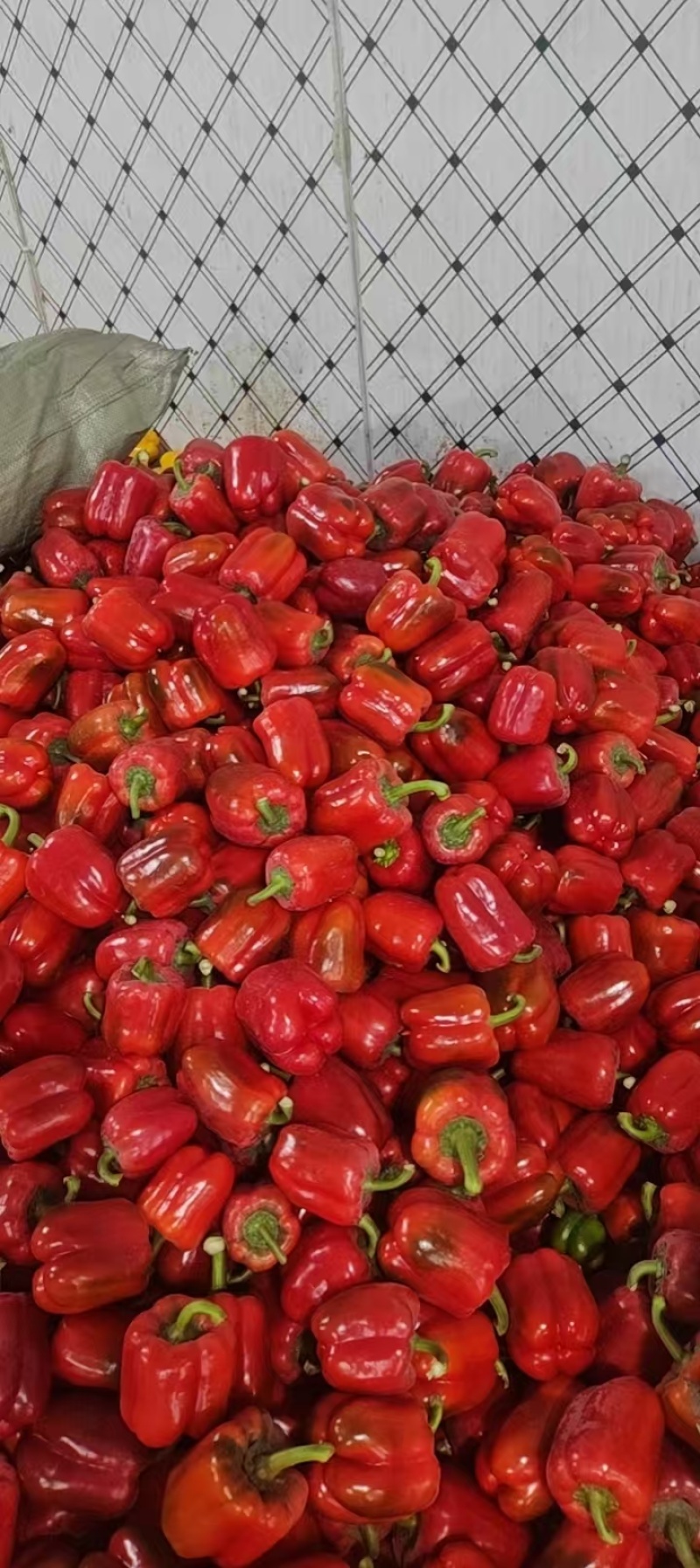 ，对接商超，出口，市场，社区团购，食品厂，加工厂，货源稳