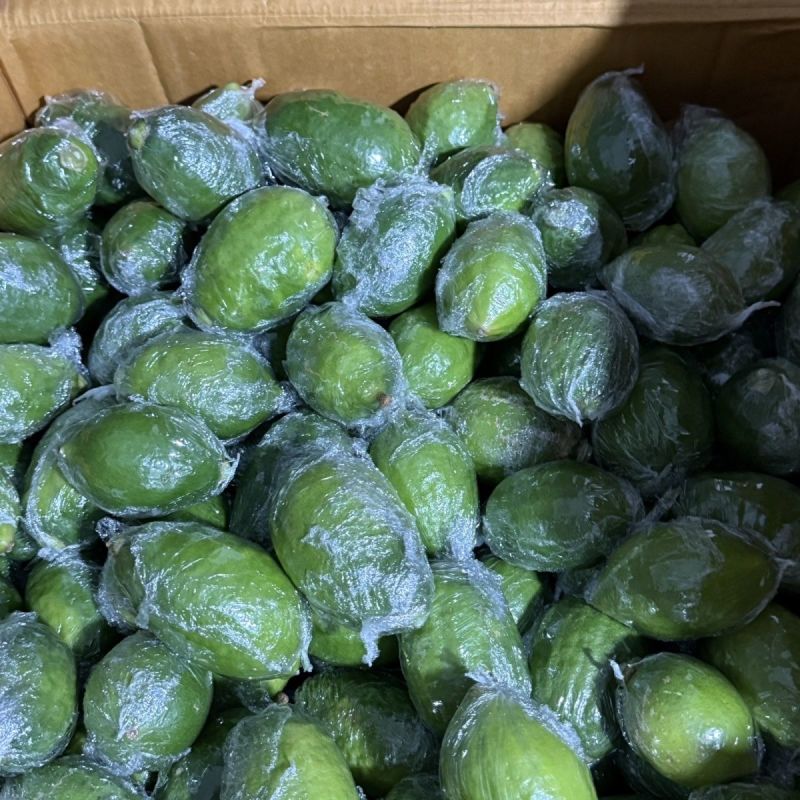 广东香水柠檬
