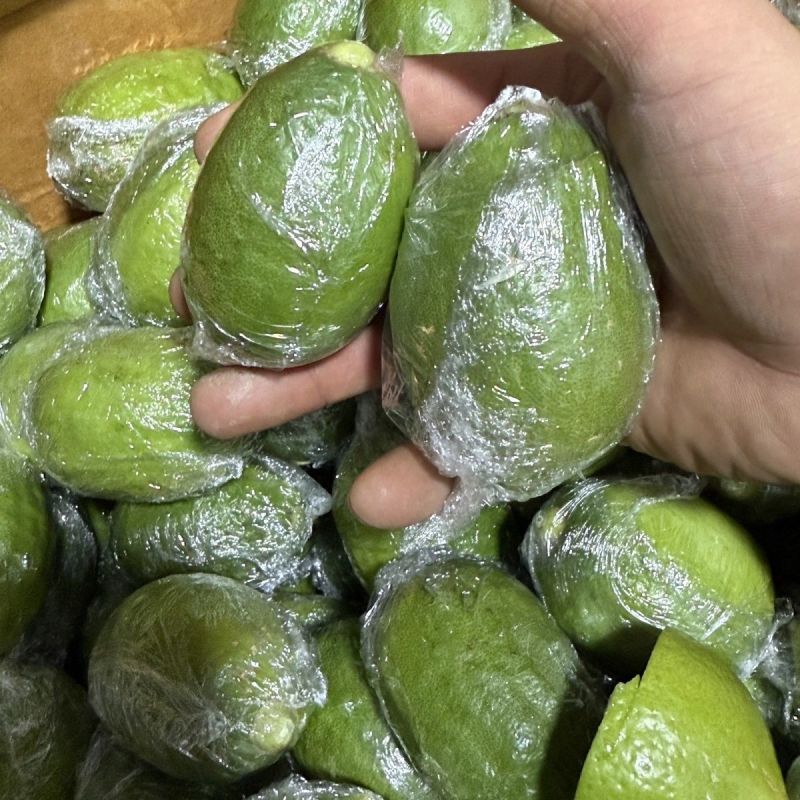 广东香水柠檬