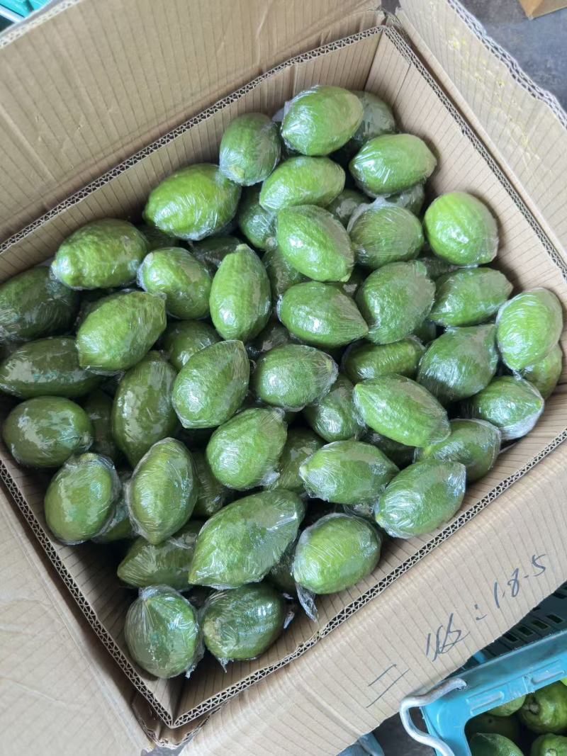 广东香水柠檬精品果