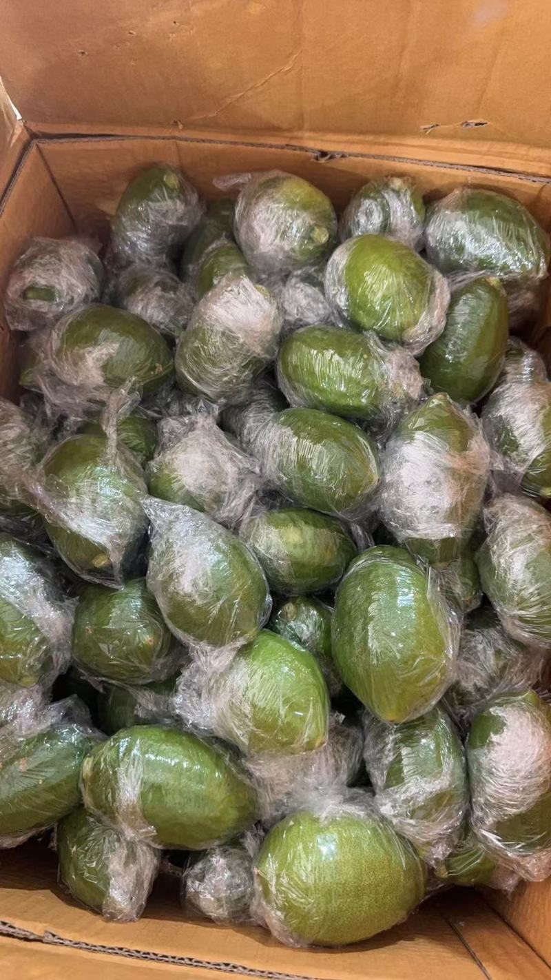 广东香水柠檬电商果