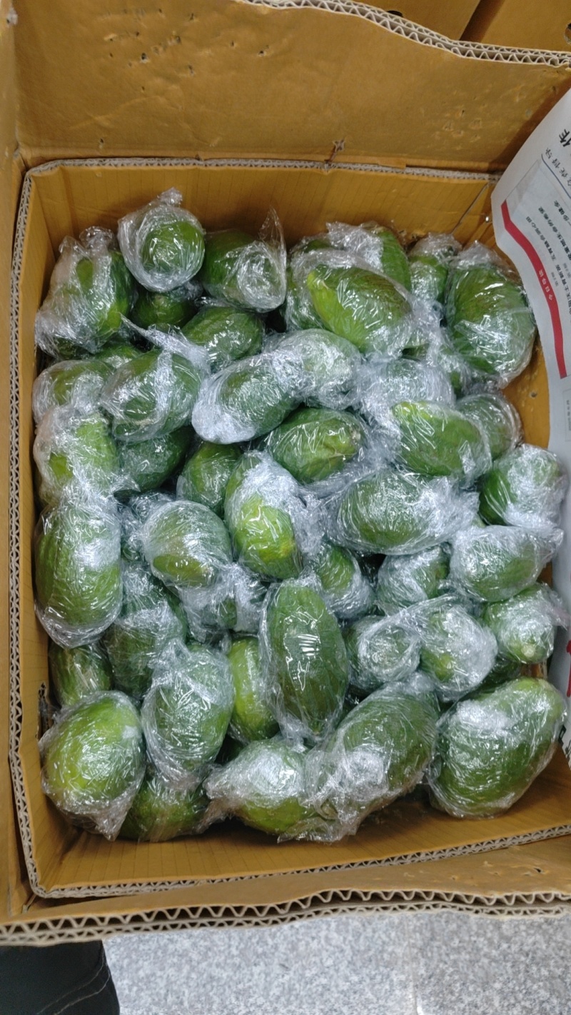 广东香水柠檬电商果