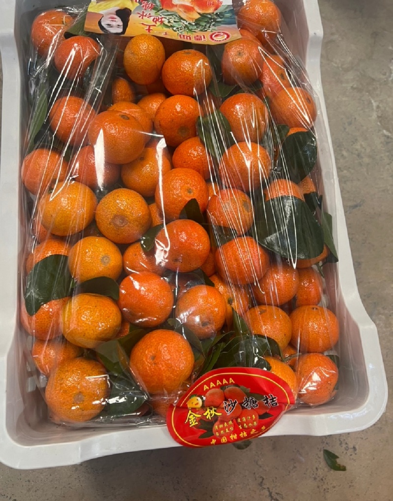 沙糖桔