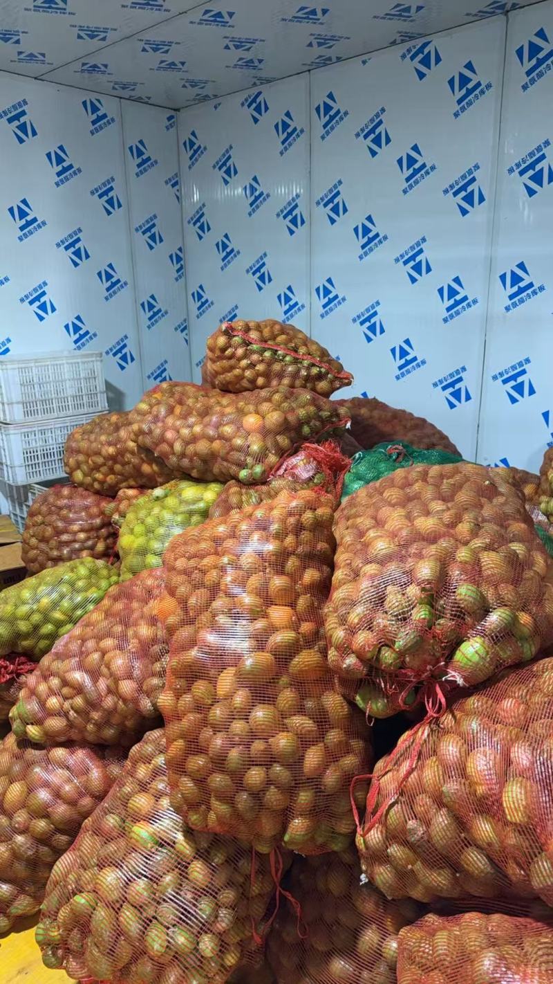 广东香水柠檬工厂果