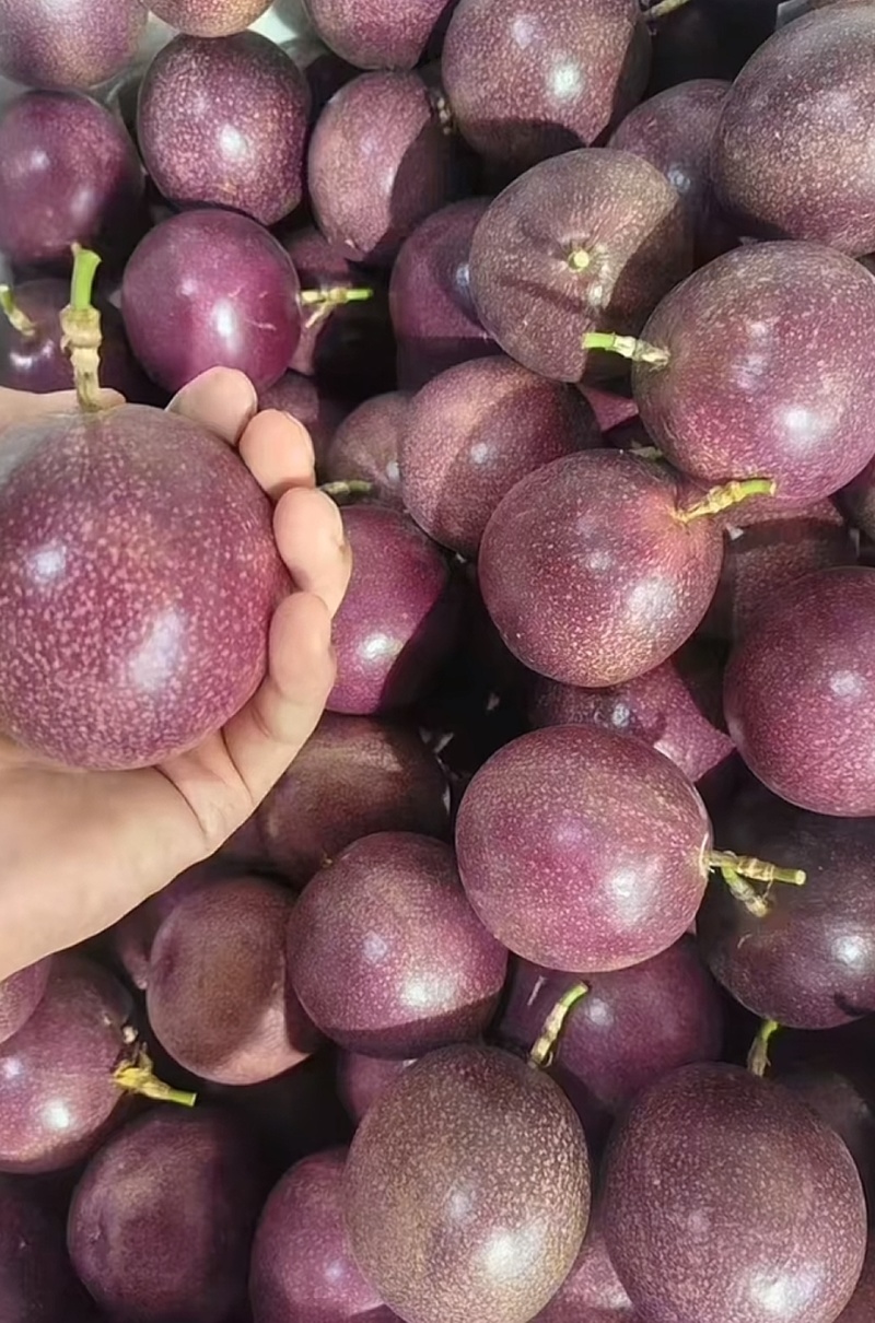 蜜桃百香果源头货源