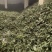 柔毛高含量淫羊藿/保真保质量/诚信为本/欢迎合作