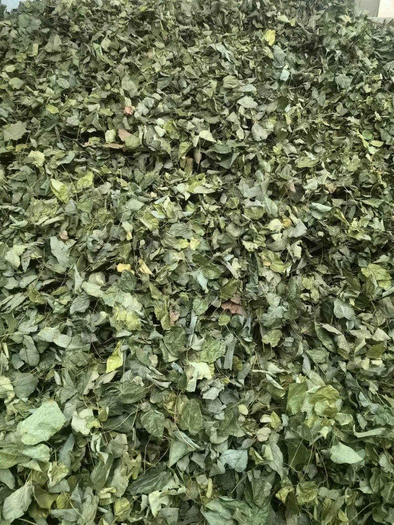 柔毛高含量淫羊藿/保真保质量/诚信为本/欢迎合作