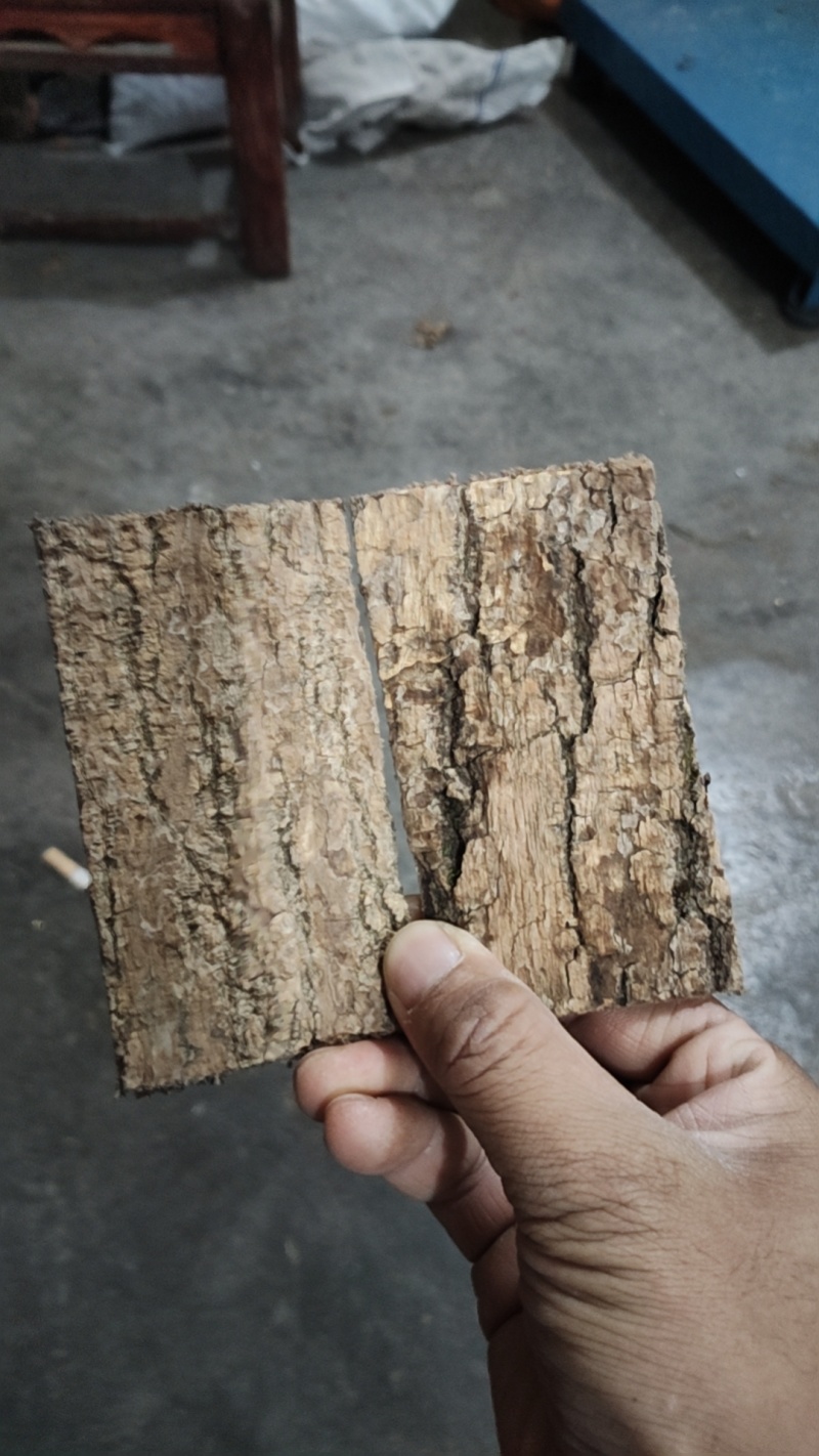 杜仲皮批发6×10块杜仲全规格加工支持定做产地直发