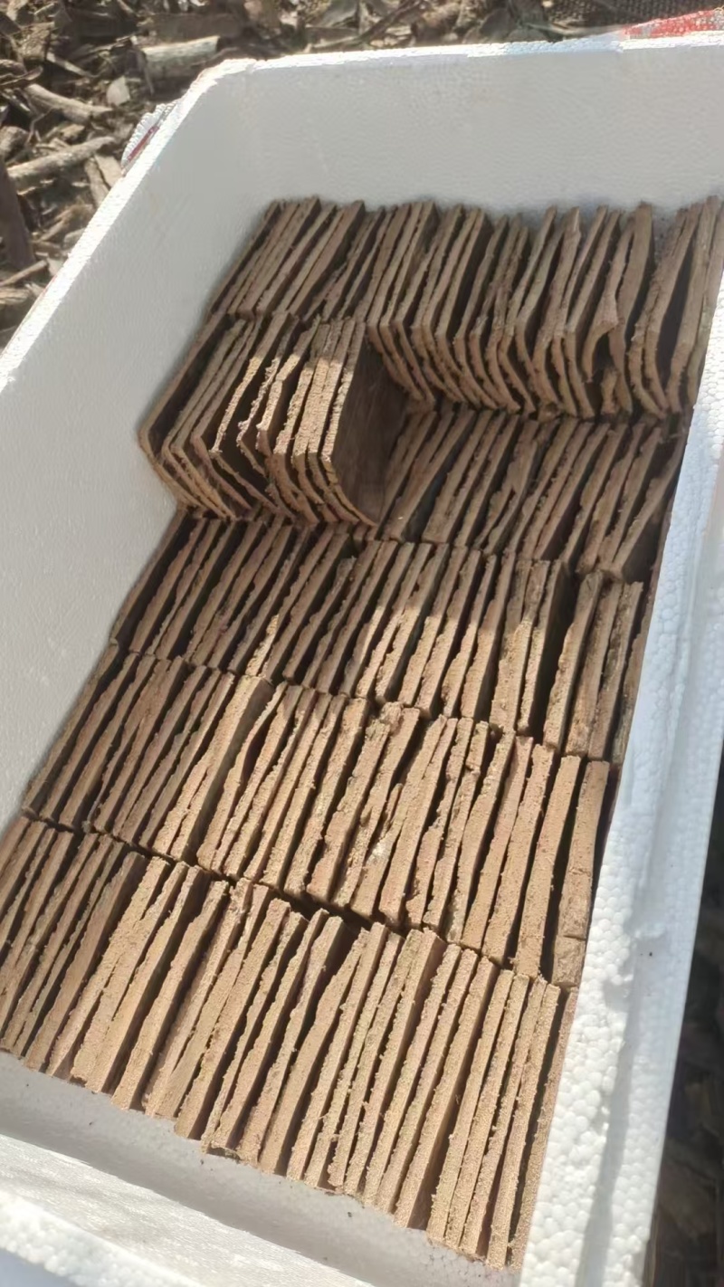 杜仲皮批发6×10块杜仲全规格加工支持定做产地直发