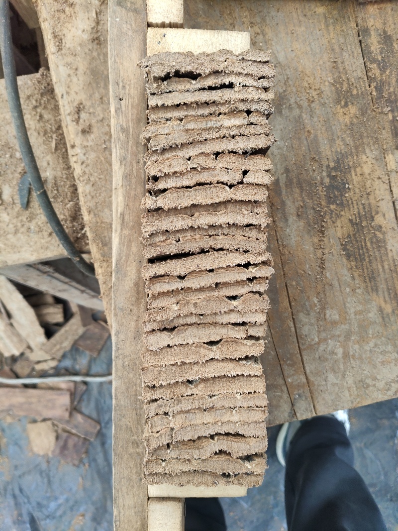 杜仲皮批发6×10块杜仲全规格加工支持定做产地直发