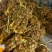 芋头优质山东芋头火热上市量大从优质量保证好