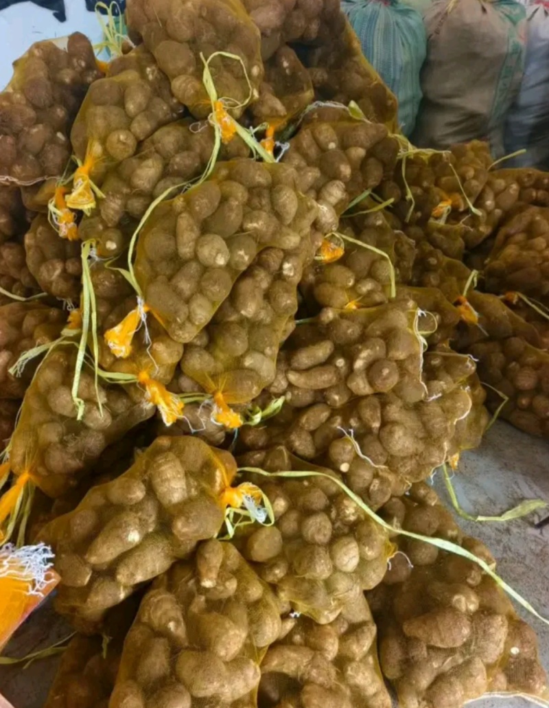 芋头优质山东芋头火热上市量大从优质量保证好