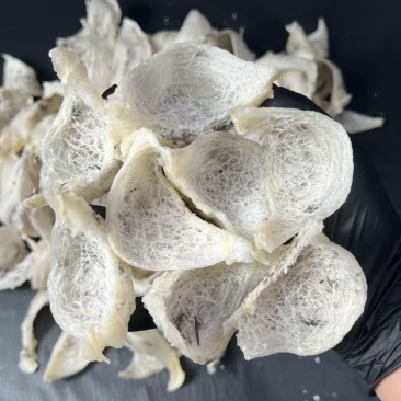 轻毛燕窝印尼燕窝天然毛燕雨季金丝燕毛燕窝孕妇滋补品