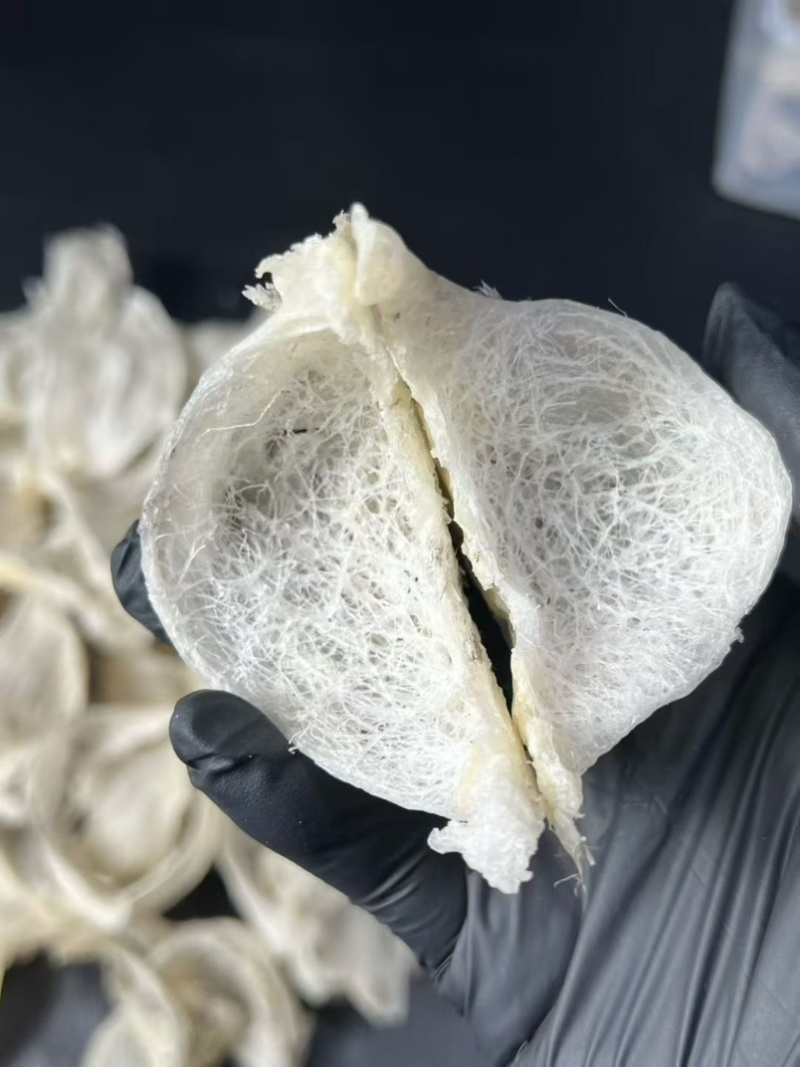 轻毛燕窝印尼燕窝天然毛燕雨季金丝燕毛燕窝孕妇滋补品
