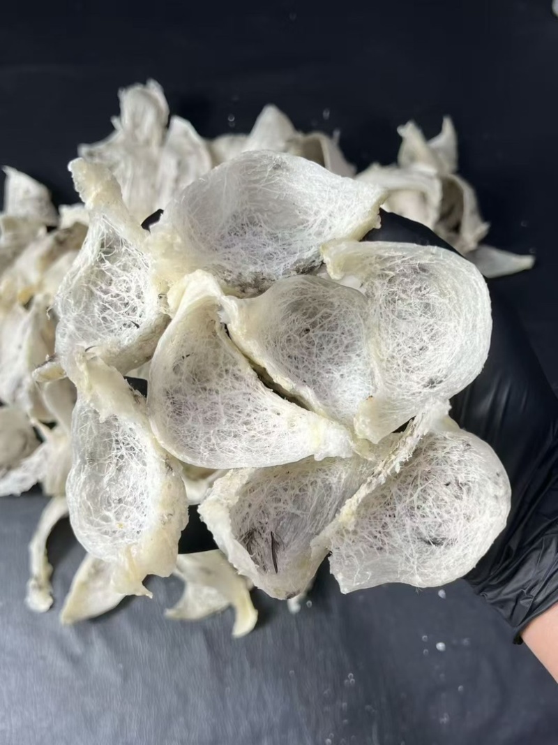 轻毛燕窝印尼燕窝天然毛燕雨季金丝燕毛燕窝孕妇滋补品