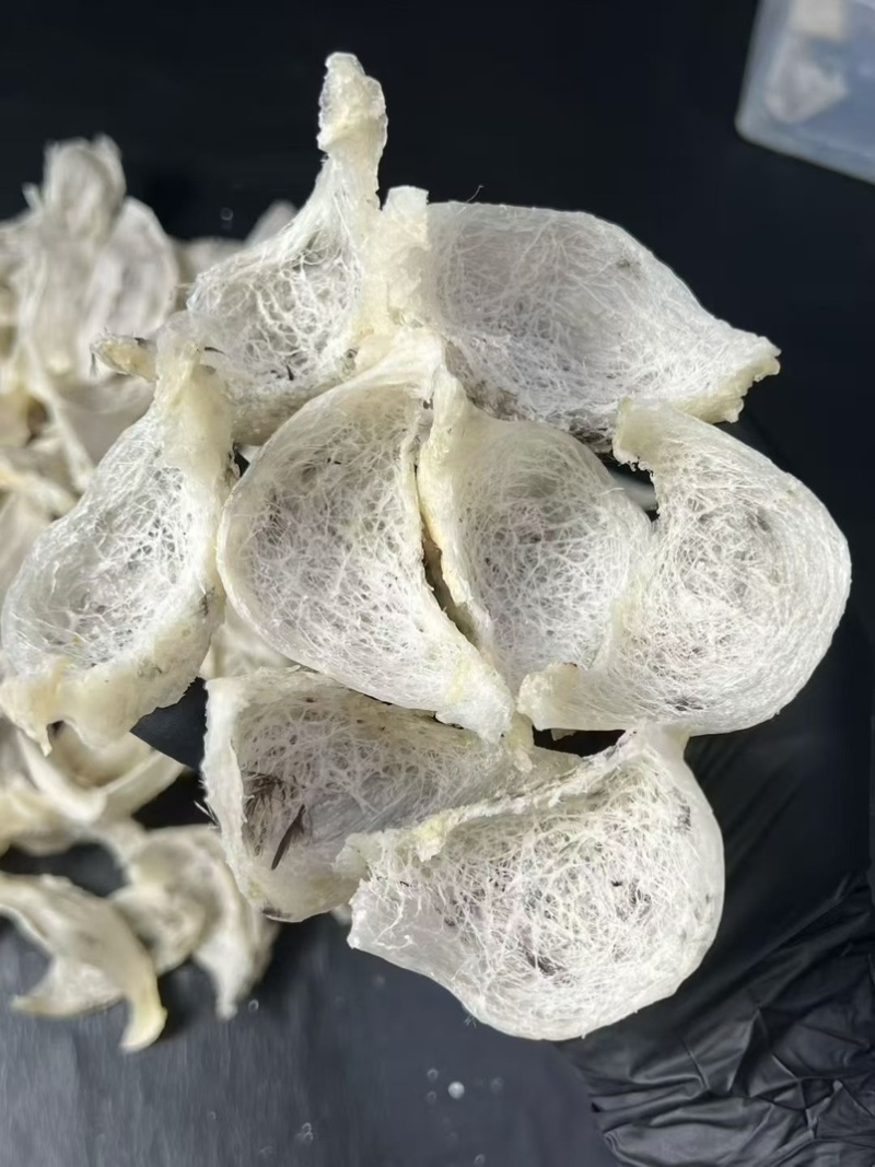 轻毛燕窝印尼燕窝天然毛燕雨季金丝燕毛燕窝孕妇滋补品