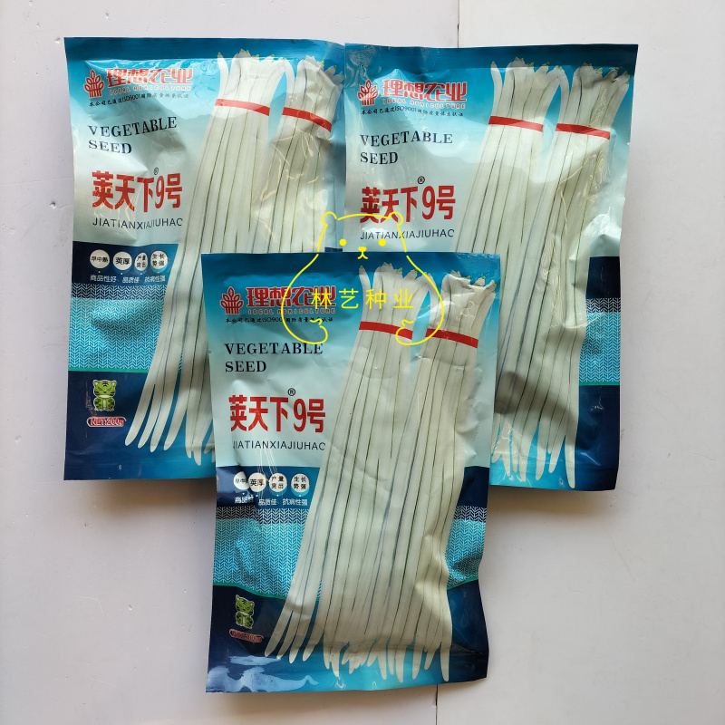 理想荚天下9号豇豆种子荚长厚肉高产抗病农家春秋播种