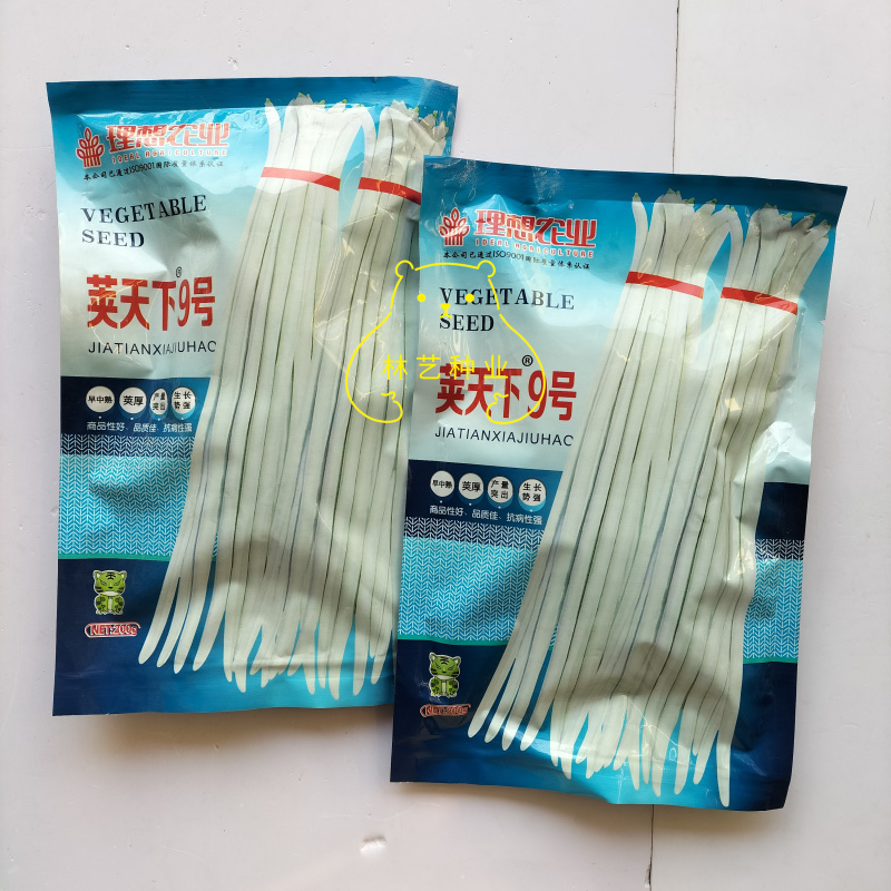 理想荚天下9号豇豆种子荚长厚肉高产抗病农家春秋播种