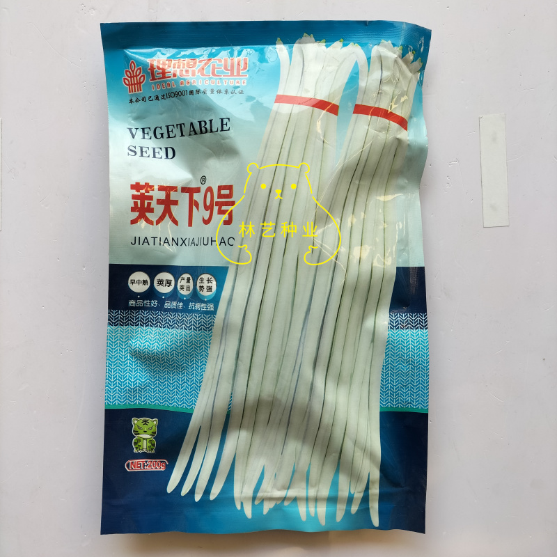 理想荚天下9号豇豆种子荚长厚肉高产抗病农家春秋播种