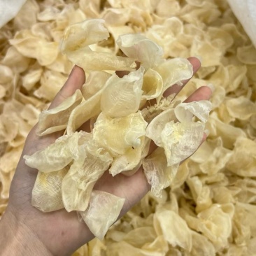 缅甸鸡蛋胶花胶鱼胶批发一手货源火锅店专用花胶清水足干货