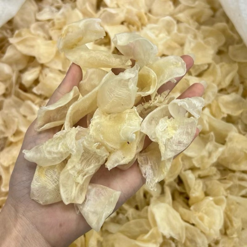 缅甸鸡蛋胶花胶鱼胶批发一手货源火锅店专用花胶清水足干货