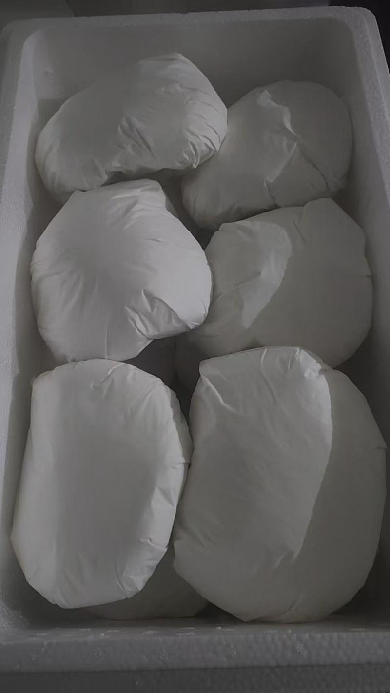 白灵菇