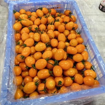 香芒皇后，产地广东电白皇冠产地直供一手货源有需要联系我