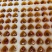 云南巧家纯手工制作小碗红糖